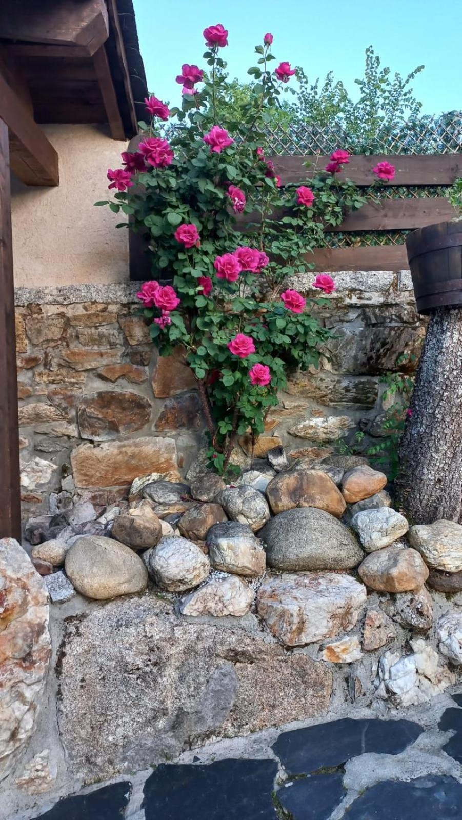 Casa Del Cura Pension Rozas Buitenkant foto